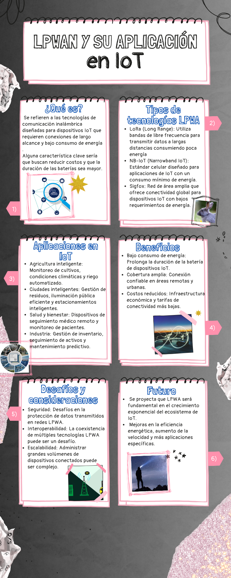 Infografía de LPWAN